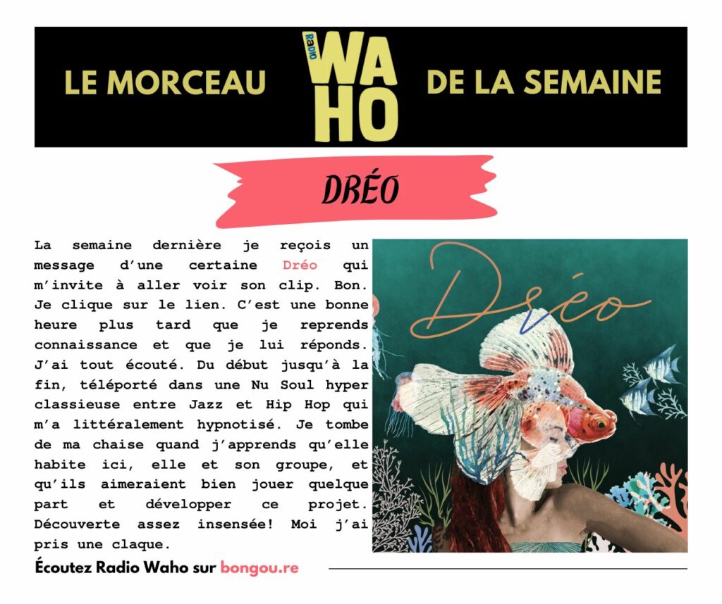 Coupure de presse sur bongou.re : "La semaine dernière, je reçois un message d'une certaine Dréo qui m'invite à aller voir son clip. Bon. Je clique sur le lien. C'est une bonne heure plus tard que je reprends connaissance et que je lui réponds. J'ai tout écouté. Du début jusqu'à la fin, téléporté dans une Nu Soul hyper classieuse entre Jazz et Hip Hop, qui m'a littéralement hypnotisé. Je tombe de ma chaise quand j'appends qu'elle habite ici, elle et son groupe, et qu'ils aimeraient bien jouer quelque part et développer ce projet. Découverte assez insensée ! Moi, j'ai pris une claque."